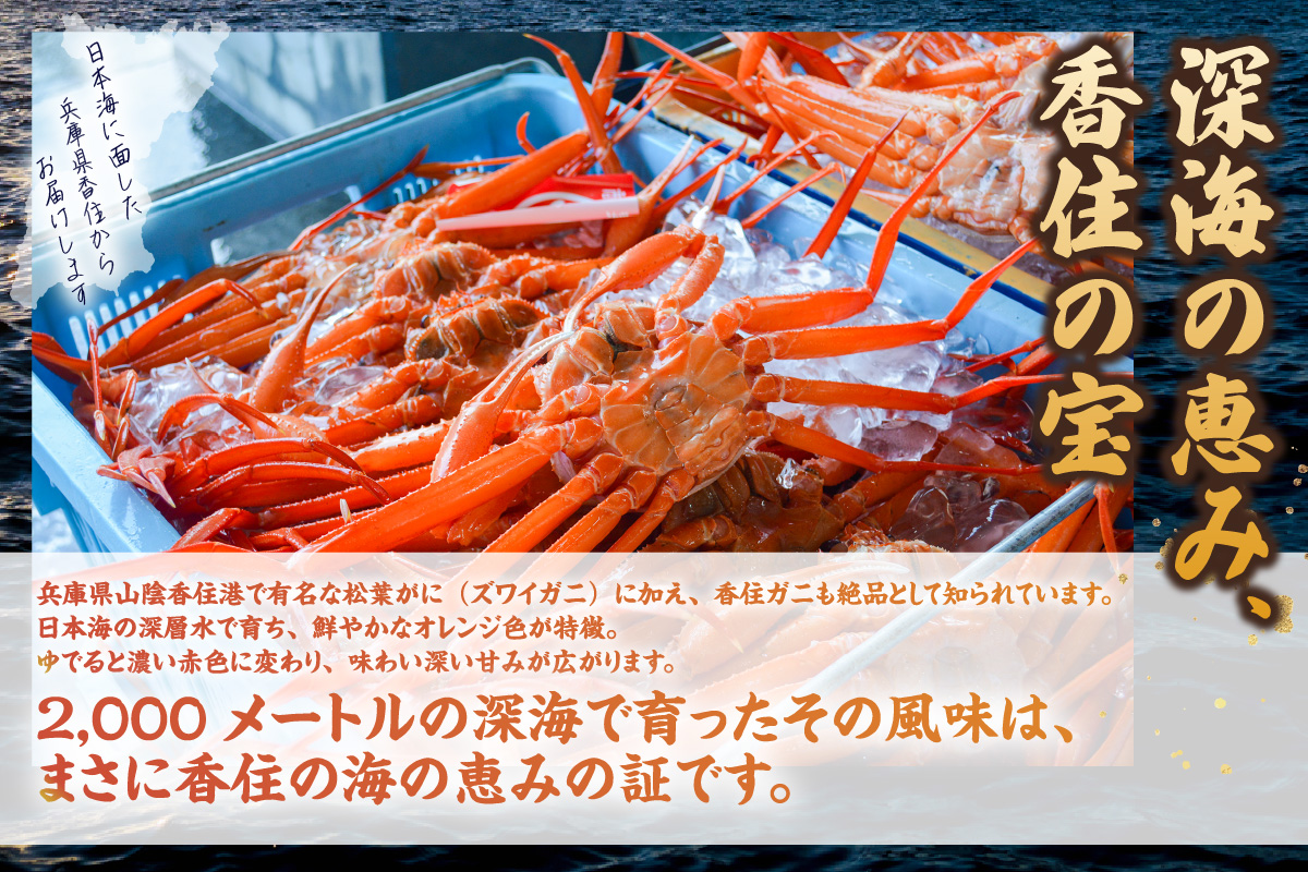 【先行予約】【訳あり茹で香住ガニ 約1kg（2～3匹）（冷蔵）】令和８年３月以降順次発送 香住港 香住ガニ かに カニ 紅ズワイガニ 紅ずわいがに 紅 新鮮 国産 鍋 かにすき 脚 足 爪 身 肩 訳あり 兵庫県 香美町 香住 日本海 宿院商店 14000円 33-42