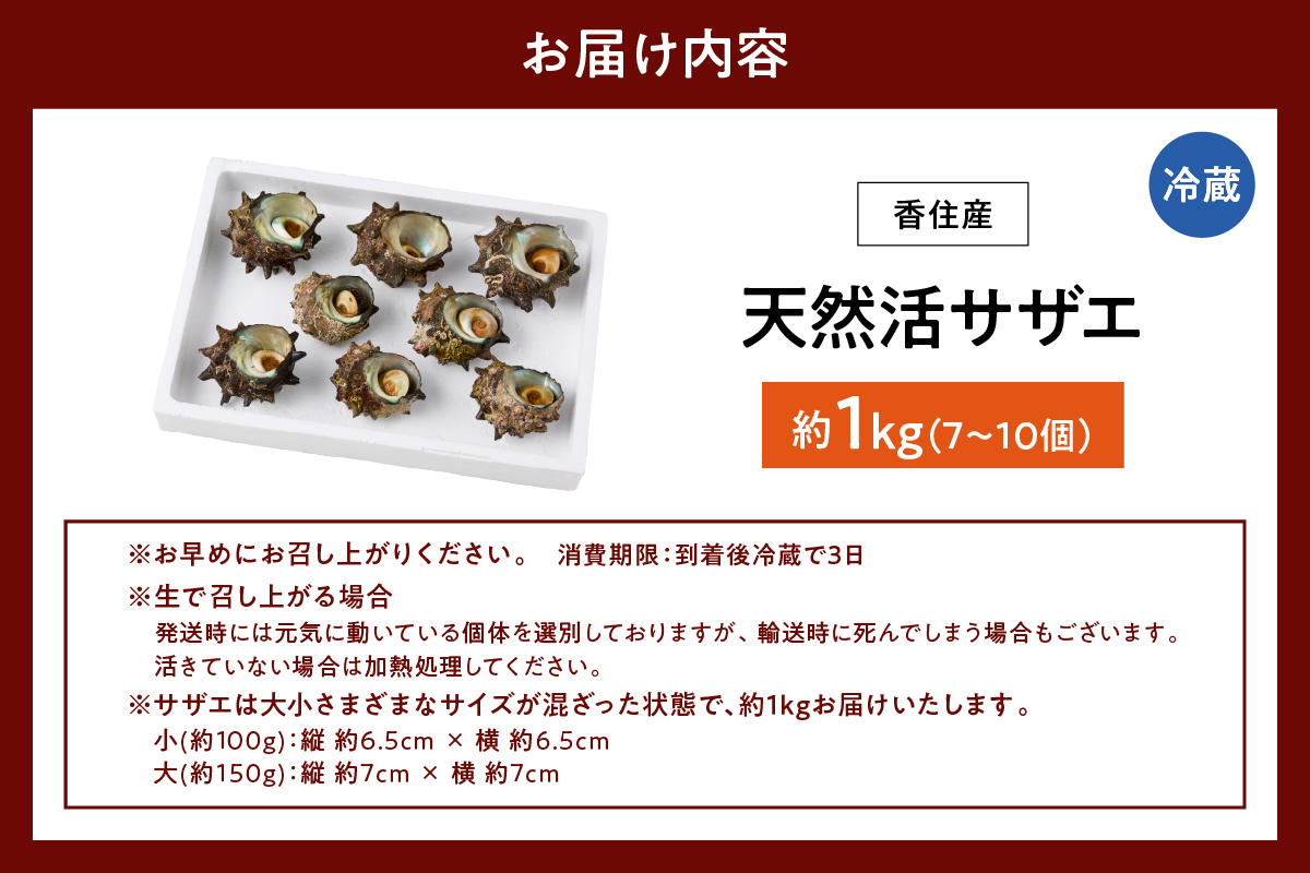 【兵庫県香住産 天然 活 サザエ 2kg（14～20個）冷蔵】香住で水揚げされた新鮮なサザエをお届け つぼ焼き 炊き込みご飯 サザエ飯 酒の肴 磯の香り 風味豊か さざえ 新鮮 天然 海鮮 大人気 夏休み BBQ バーベキュー キャンプ お盆 海 日本海 兵庫県 香美町 香住 柴山 宿院商店 33-20