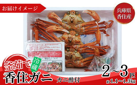 【兵庫県香住産 釜茹で香住ガニ（紅ズワイガニ）2～3匹 冷蔵】新鮮な香住ガニ 絶妙な塩加減で茹で上げ ミネラル豊富な海洋深層水域で育ったカニ 関西では「香住漁港」だけしか水揚げを許可されていない特産品 足が1～2本折れたカニが混ざる場合がございます かに おすすめ 兵庫県 香美町 宿院商店 33-21