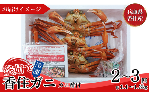 【兵庫県香住産 釜茹で香住ガニ（紅ズワイガニ）2～3匹 冷凍】新鮮な香住ガニ 絶妙な塩加減で茹で上げ ミネラル豊富 甘みがあってとても美味しい 関西では「香住漁港」だけしか水揚げを許可されていない特産品 足が1～2本折れたカニが混ざる場合がございます おすすめ 日本海 兵庫県 香美町 宿院商店 33-22