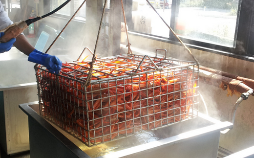 【先行予約】【香住産 釜茹で松葉ガニ 1匹（約600～700g）冷凍】11月中旬以降配送予定 香住で水揚げされた新鮮な松葉ガニを熟練の職人が茹で上げ。産地証明のタグ付き松葉ガニ カニの本場 香住 新鮮 国産 鍋 かにすき 脚 足 爪 身 肩 大人気 ふるさと納税 兵庫県 香美町 香住 柴山ガニ ズワイガニ 宿院商店 68000円 33-25