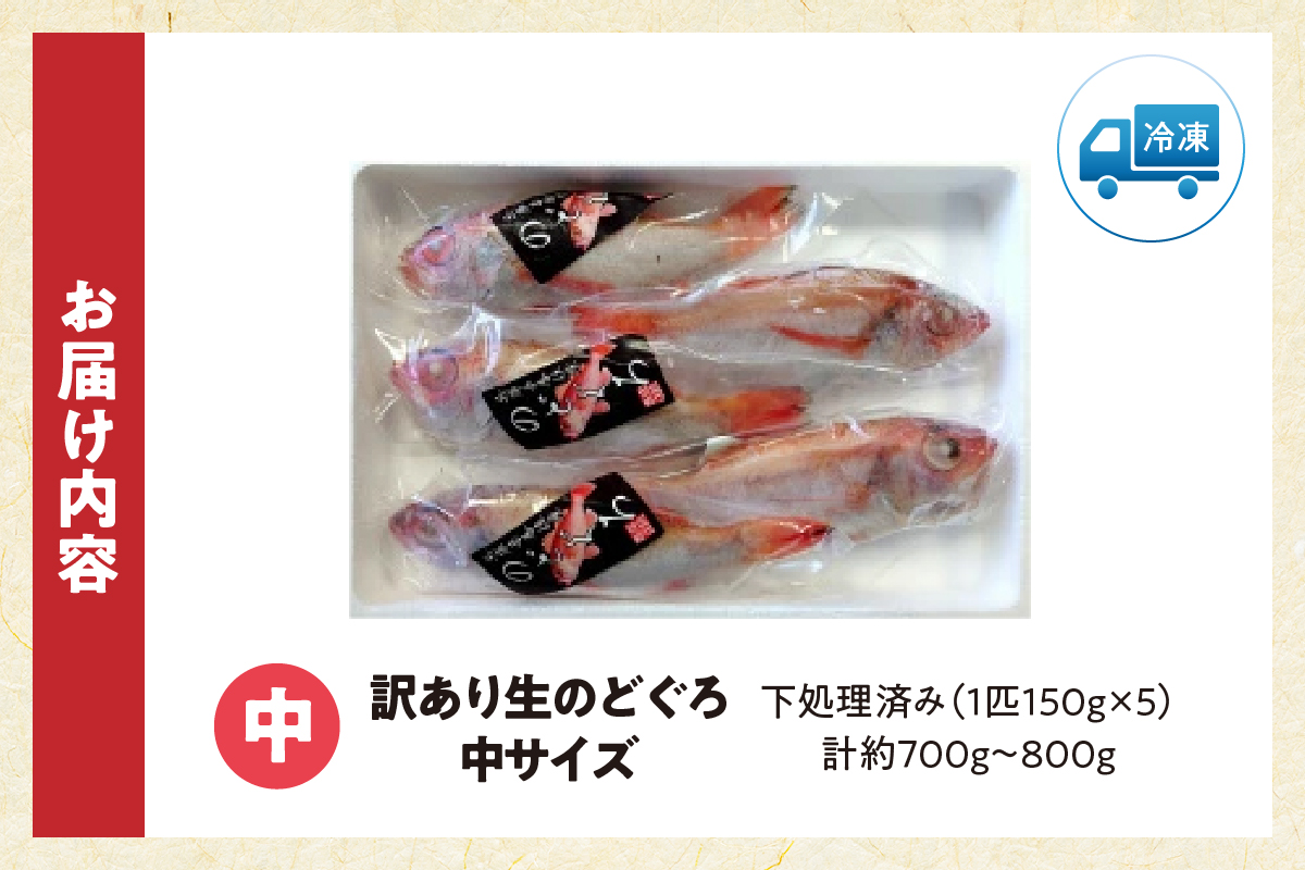 【兵庫県香住産 処理済 のどぐろ中5匹 1匹約150g前後 計約700～800g 冷凍】令和8年3月下旬以降、順次発送予定  日本海 鮮度抜群 生冷凍 急速冷凍 白身のトロ ノドグロ 国産 産地直送 兵庫県 香美町 香住 柴山 山陰 大人気 おすすめ 宿院商店 33-30