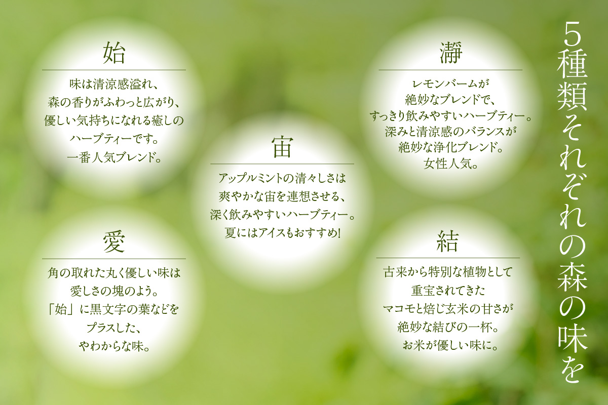 【森林浴茶 ティーパック 5種セット】ハーブティー ノンカフェイン ブレンド お茶 紅茶 国産 飲み比べ アソート 自宅用 贈答用 ギフト おすすめ 兵庫県 香美町 ANMEI / 森林浴茶 89-01