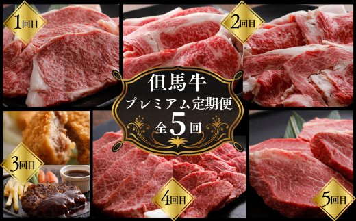 【但馬牛肉プレミアム定期便（計5回）】※月に1回お届け。配送日の指定はできません。日本の黒毛和牛のルーツは香美町にあり 但馬牛は神戸牛、仙台牛、飛騨牛のルーツ牛 大人気 サーロイン ロース カルビ ヒレ 牛肉 焼肉 すき焼き しゃぶしゃぶ ステーキ ハンバーグ コロッケ 切り落とし 赤身 ブランド 和牛 但馬 神戸 香美町 村岡 但馬牛専門店 牛将村岡ファームガーデン 260,000円 02-30