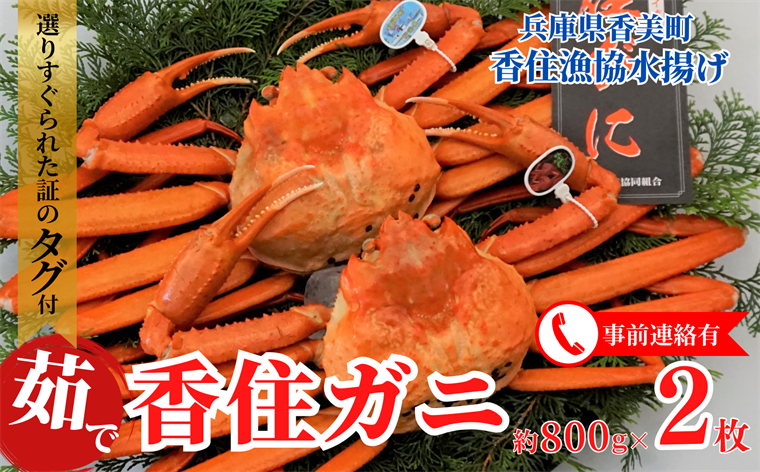 【先行予約】【香住ガニ（ボイル）大 タグ付き 約800g×2枚 冷蔵】令和7年11月以降、カニの水揚次第発送予定 漁協から配送日調整の電話が入ります タグ付きの立派なカニを自信を持って提供いたします 甘みが強い かに カニ 蟹 香住がに 紅ずわいがに ベニズワイガニ 丸ごと 脚 爪 身 ほぐし むき身 かにすき 鍋 大人気 ふるさと納税 兵庫県 香美町 香住 遊魚館  50000円 03-08
