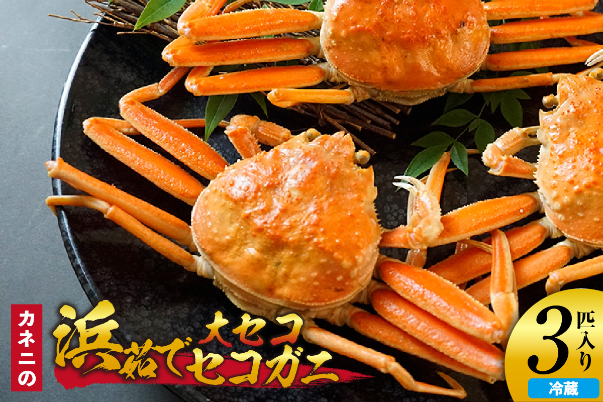 【先行予約】【カネニの浜茹でセコガニ 大セコ 3匹入】令和7年11月中旬以降、水揚げ次第順次発送予定 冷蔵 濃厚なカニ味噌 やみつきになる内子 外子 絶品 浜茹で 産地直送 鮮度抜群 香美町 香住 柴山 送料無料 カニ 松葉ガニ せいこがに メスガニ 親ガニ カネニ 06-19 