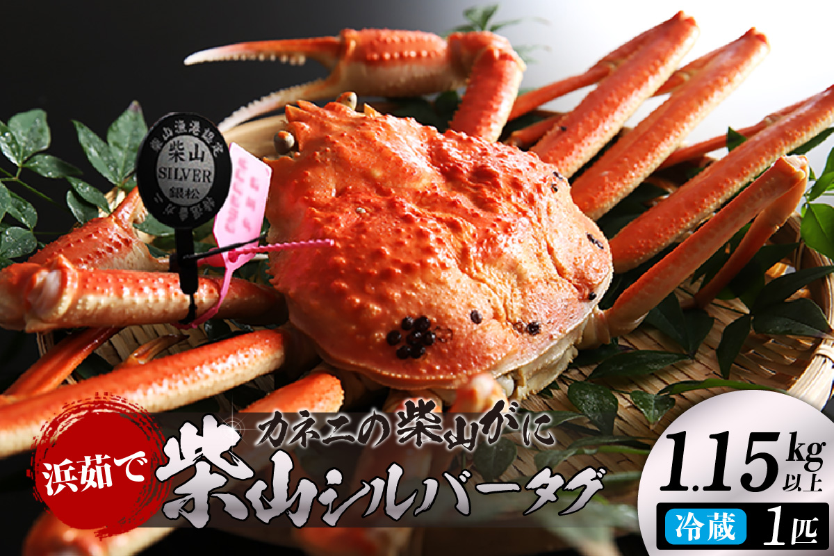 【先行予約】【カネニの浜茹で柴山がに 柴山シルバータグ付き ボイル後1.15kg以上】 令和7年11月中旬以降、水揚げ次第順次発送予定 冷蔵 高級 かにすき 焼きガニ カニ ボイル 兵庫県 香美町 香住 柴山 カネニ 06-23