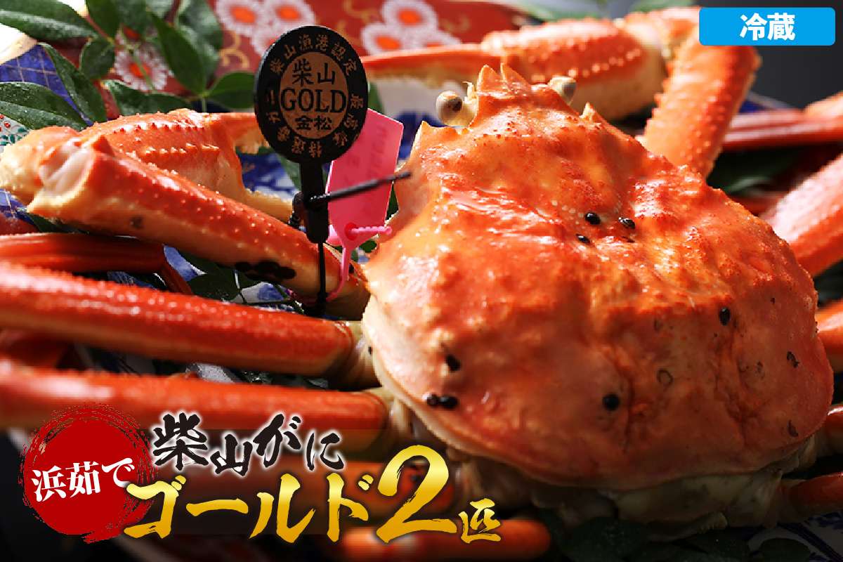 【先行予約】【浜茹で柴山ゴールド 柴山がに・ゴールドタグ付きが一度に2匹も揃う奇跡 冷蔵】 令和7年11月中旬以降、水揚げ次第順次発送予定 冷蔵 高級 貴重 レア 贅沢 かに 蟹 カニ おすすめ 兵庫県 香美町 香住 柴山 カネニ 06-24