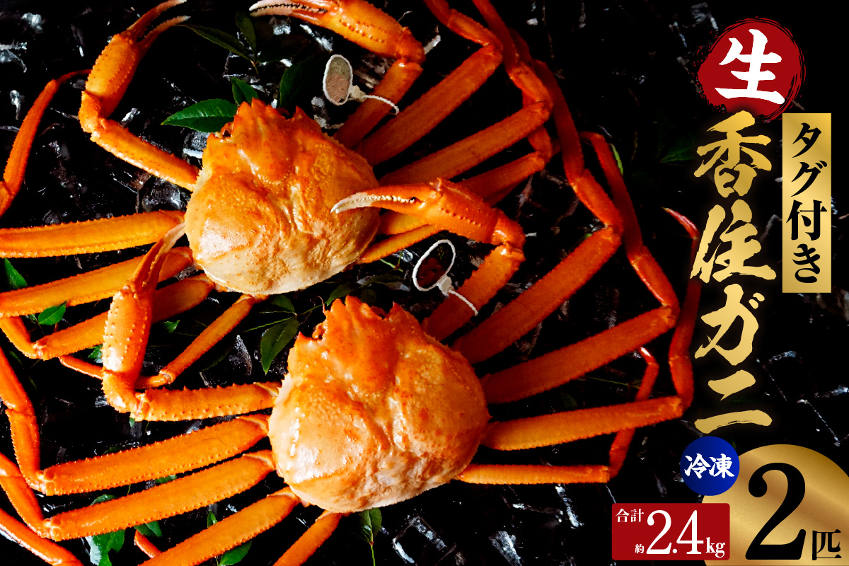 【先行予約】【香住ガニ 活〆タグ付き香住ガニ 超特大 約1.2kg×2匹（合計約2.4kg以上）生冷凍】令和8年2月中旬以降、順次発送予定 大人気 おすすめ ランキング 国産 カニの本場 香住 急速冷凍 ベニズワイガニ カニ かに 香美 しゃぶしゃぶ 刺身 かにすき 焼きガニ 蟹 兵庫県 香美町 香住 日本海フーズ 07-136