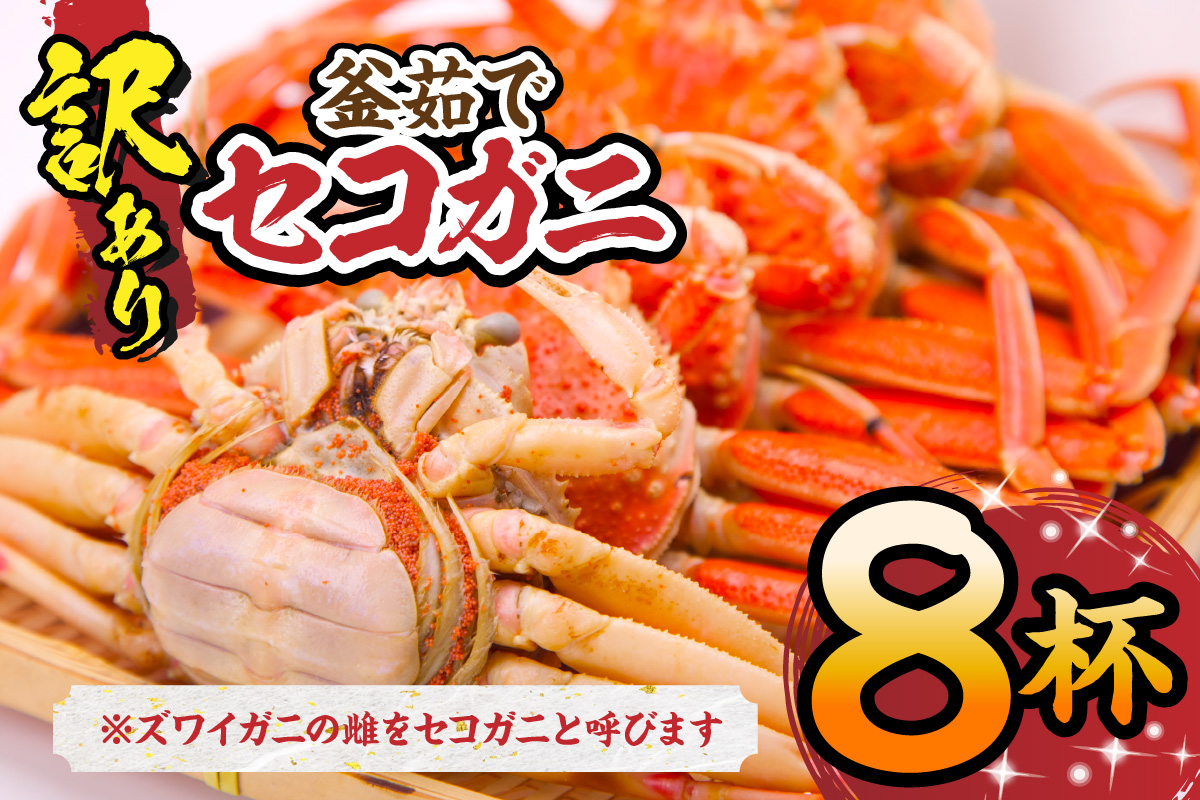 【セコガニ 訳あり（欠足 キズ 汚れなど）約120g×8匹 冷凍】濃厚 かにミソ 内子 外子 産地直送 鮮度抜群 国産 カニ かに 蟹 松葉ガニ せいこがに メスガニ 親ガニ ふるさと納税 おすすめ 返礼品 兵庫県 香美町 香住 日本海フーズ にしとも かに市場 18000円 07-09 ☆