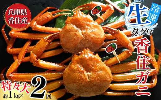 【香住ガニ 活〆タグ付き香住ガニ 特々大 約1.0kg×2匹（合計約2.0kg以上）生冷凍】【先行予約】令和8年2月中旬以降順次発送　 大人気   返礼品 おすすめ ランキング 国産 カニの本場 香住 注意書きの確認を必ずお願いします 水揚げされたばかりのタグ付き香住ガニを活〆・急速冷凍 ベニズワイガニ カニ かに 香美町 しゃぶ 刺身 かにすき 焼きガニ 日本海フーズ 40000円 07-114