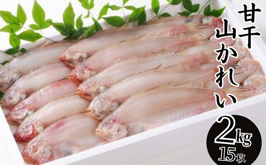 【干物 甘干し山かれい2kg（15枚入り）干物の本場 香住産 冷凍】唐揚げに最適で、ポン酢との相性は抜群です。 素材の良さ抜群 伝統の技術 兵庫県 香美町 香住 柴山 大人気 ふるさと納税 蔵平水産 17000円 08-06