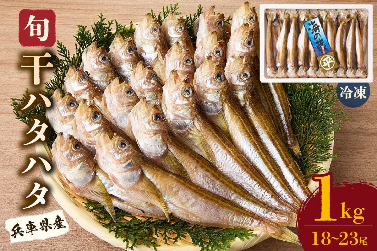 【干物 干ハタハタ 1kg 干物の本場 香住産 冷凍】塩と氷を直接ふりかけ桶で一晩漬け込んだ「まぶり塩製法」により干し上げました。伝統の技術 素材の良さ抜群 兵庫県 香美町 香住 柴山 大人気 ふるさと納税 蔵平水産 08-08 ☆
