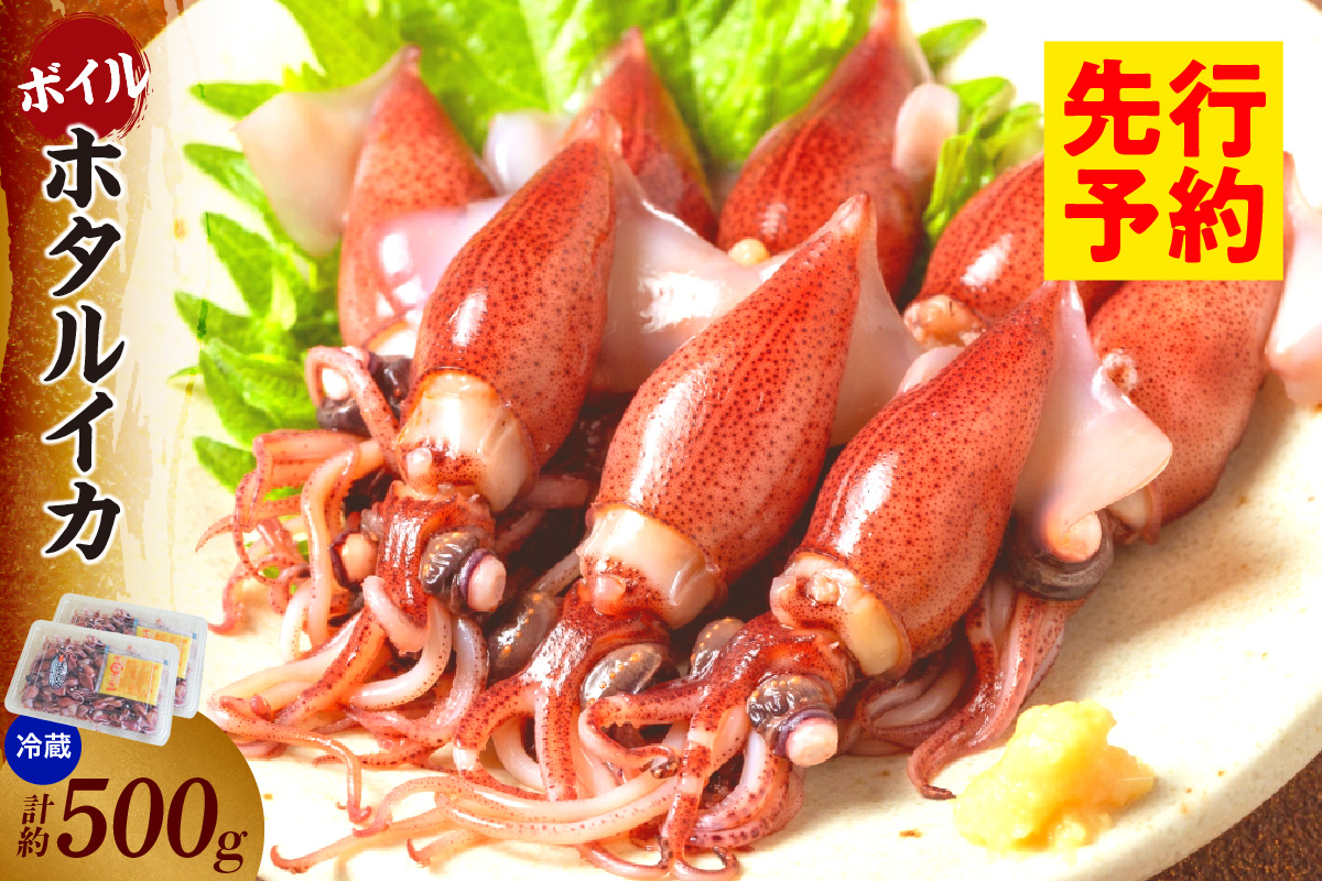 【先行予約】【ほたるいか 鮮度抜群 ボイル 小分け 250g×2パック 500g 酢味噌付 兵庫県産 冷蔵】令和8年3月以降順次発送予定 生ほたるいかを水揚げ後すぐにボイル その日のうちに発送 新鮮さが際立ち、冷凍からの茹で上げとは艶が全く違います 熟練の職人が絶妙な塩加減で茹上げ 兵庫県はホタルイカ水揚げ日本一 いか 香美町 香住 しゃぶしゃぶ ふるさと納税 モリタ食品 6000円 10-13