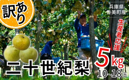 2026年産 先行予約【梨 訳あり 20世紀梨 5kg（10～18玉）】生産者応援商品！ 9月上旬～下旬にかけて発送予定 数量限定 ご家庭用 ジャム 加工用 傷あり 不揃い 訳あり 二十世紀梨 兵庫県  香美町 香住梨 フルーツ ナシ 青梨 和梨 JAたじま 10000円 12-23