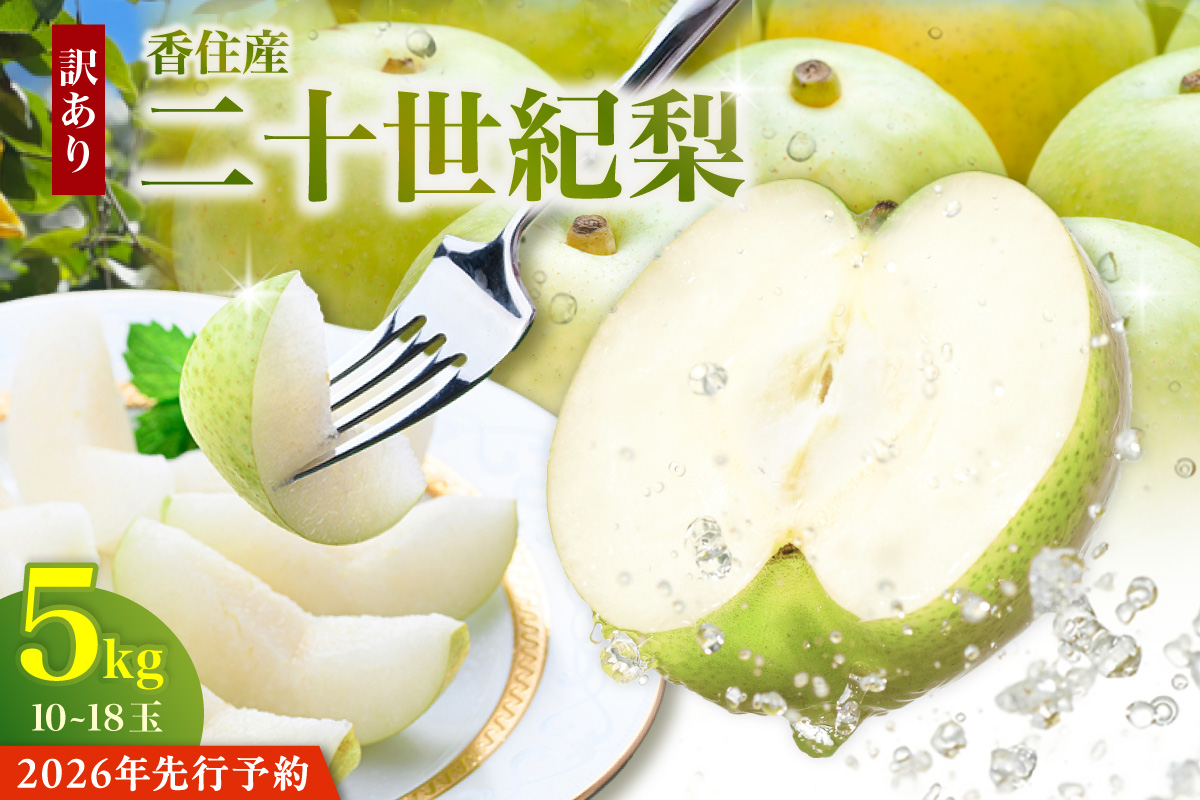 2026年産 先行予約【梨 訳あり 20世紀梨 5kg（10～18玉）】生産者応援商品！ 9月上旬～下旬にかけて発送予定 数量限定 ご家庭用 ジャム 加工用 傷あり 不揃い 訳あり 二十世紀梨 兵庫県  香美町 香住梨 フルーツ フルーツ先行予約 ナシ 青梨 和梨 JAたじま 10000円 12-23