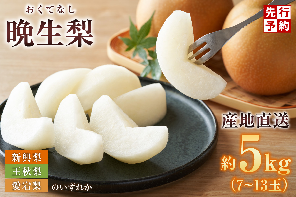 【2026年産 先行予約】 晩生梨 品種（新興梨・王秋梨 ・愛宕梨のいずれか）5kg（7～13玉）【令和8年10月中旬以降発送予定】 梨 フルーツ 香美町 12-24 5kg（7～13玉）