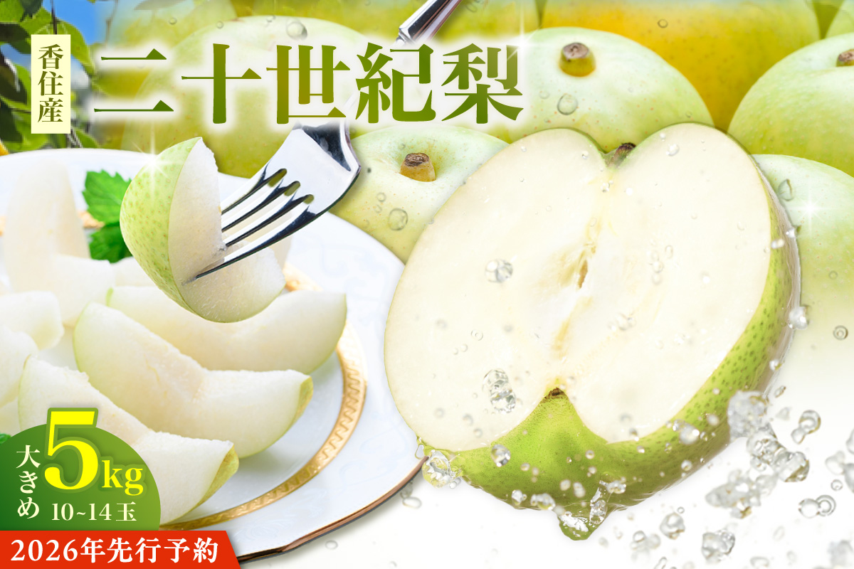 先行予約 2026年産 二十世紀梨 5kg 大きめ（1玉350g～500gを10～14玉）果物 12-05