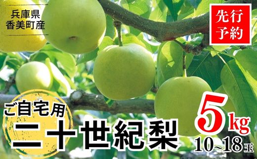 2026年産 先行予約【20世紀梨 ご自宅用 5kg サイズ L～5L混合（10～18玉）】8月下旬～9月中旬にかけて発送予定 ご自宅用  二十世紀梨 シャキシャキ 甘味 瑞々しさ 香住梨 フルーツ フルーツ先行予約 果物 なし ナシ 和梨 青梨 大人気 おすすめ ランキング 兵庫県 香美町 香住 JAたじま 12000円 12-20