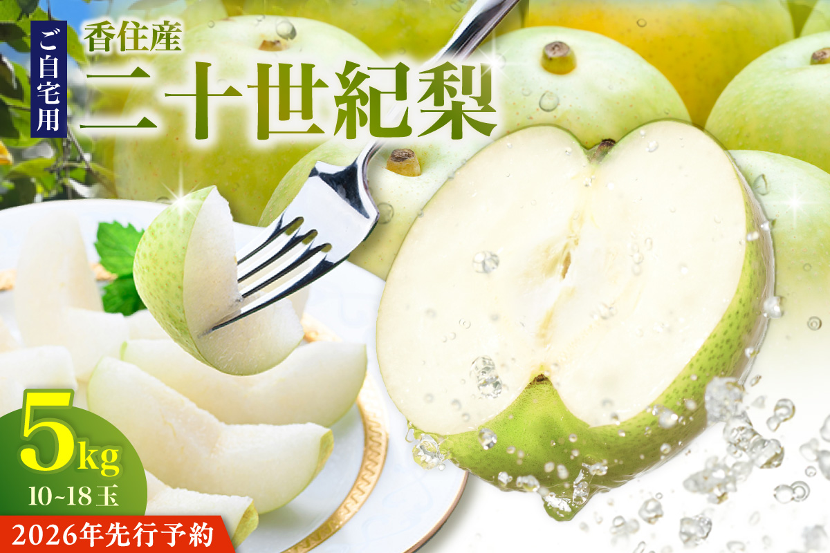 【先行予約 2026年産】 二十世紀梨 ご自宅用 5kg サイズ L～5L混合（10～18玉） 果物 12-20