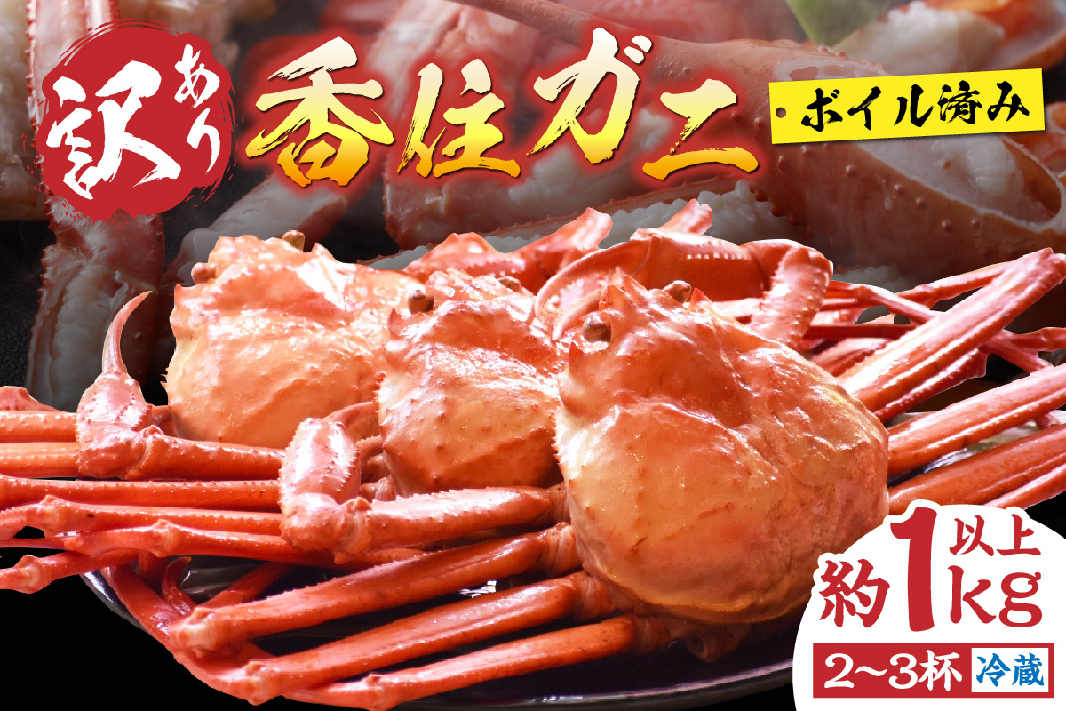 〈カンテレ「やすとも・友近のキメツケ！」で紹介！〉【訳あり 香住ガニ 浜茹で 2～3杯 約1kg以上 1～2本指落ち 冷蔵】【令和8年2月以降発送予定】 TVで紹介 国産 香住 日本海 カニ かに 蟹  爪 身 脚 しゃぶ ベニ ズワイガニ 紅 べに ずわいがに 訳あり ご自宅用 大人気 ふるさと納税 返礼品 おすすめ 兵庫県 香美町 丸近 19-09 ☆