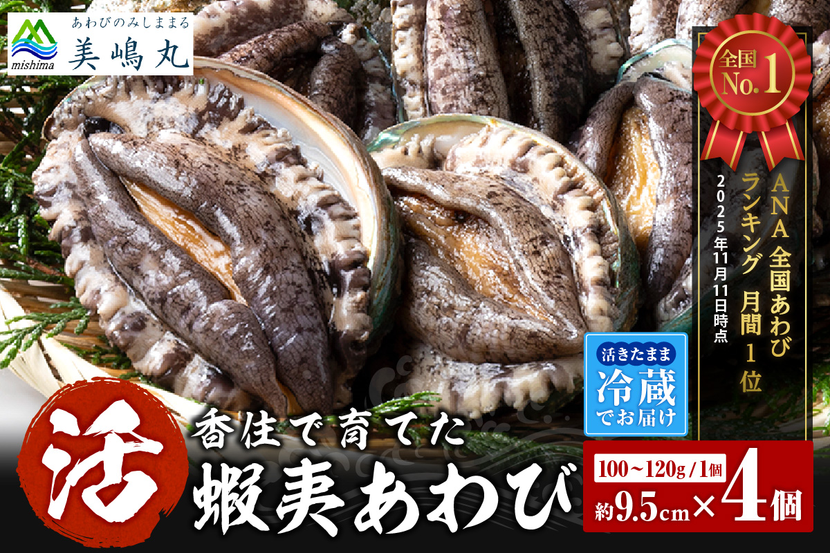 《12/21まで年内発送》【冷蔵 活あわび 養殖 9.5cm×4枚 400g～480g (1個100～120g）】満点青空レストラン うまい！おせち2023に採用されました！アワビ 鮑 活アワビ あわび 海鮮貝 魚介 お刺身 BBQ バター焼き 新鮮 日本海 養殖 昆布 レシピ入り 人気 テレビ 紹介 話題 高級 香美町 香住 山陰 美嶋 20-03 ☆