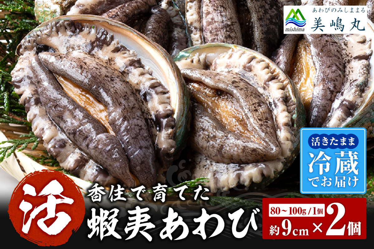 《12/21まで年内発送》【冷蔵 活あわび 養殖 9cm×2枚 160～200g (1個80～100g）】満点青空レストラン うまい！おせち2023に採用されました！アワビ 鮑 活アワビ あわび 海鮮貝 魚介 お刺身 BBQ バター焼き 新鮮 日本海 養殖 昆布 レシピ入り 人気 テレビ 紹介 話題 高級 香美町 香住 山陰 美嶋丸 13000円 20-11 ☆