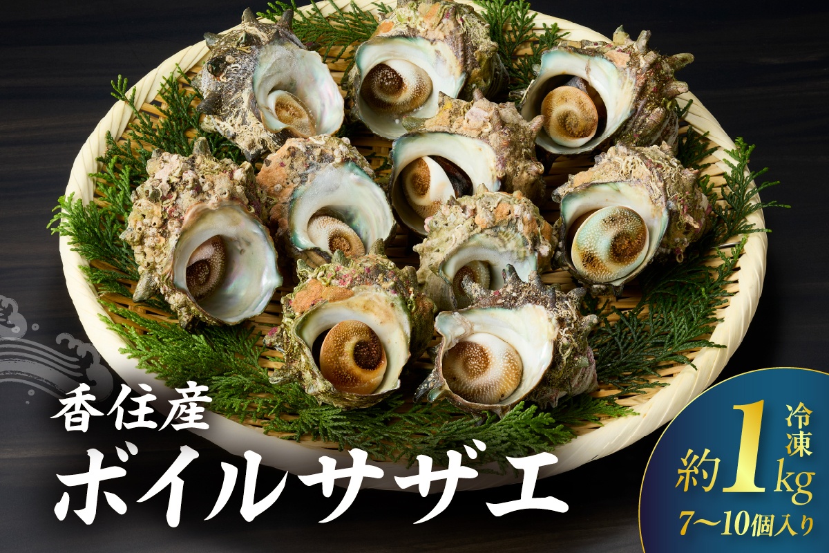 【兵庫県香住産 ボイルサザエ 約1kg（7～10個） 冷凍】国産 さざえ 栄螺 海鮮 新鮮 鮮度抜群 酒の肴 おつまみ おかず 磯 加熱済み 簡単 手軽に味わう磯の香り コリコリ食感 香住の海の恵み 夏休み BBQ バーベキュー キャンプ お盆 海 海水浴 日本海 おすすめ 兵庫県 香美町 香住 宿院商店 33-33