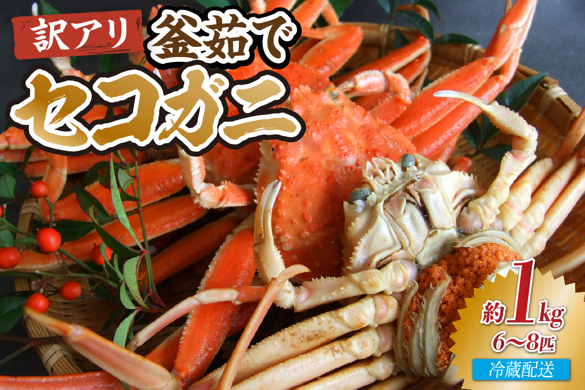 【兵庫県香住産 訳あり茹でセコガニ1kg 冷蔵】 カニの本場 兵庫県 香美町 香住漁港 せこがに かに 蟹 セコ 訳あり 国産 刺身 しゃぶしゃぶ 焼きガニ 鍋 カニ鍋 かにすき 脚 足 爪 身 肩 ランキング 大人気 人気 香美町 兵庫県 香住 日本海 宿院商店 33-39