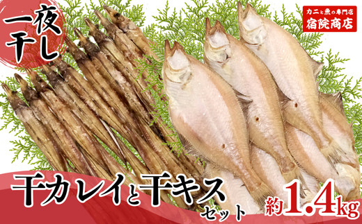 【一夜干し 干カレイと干キスセット】山陰沖で水揚げ 干物 ひもの 海産物 海鮮 魚介 焼いたり 空揚げ お酒のお供 ご飯のお供 日本海 香住海岸 香住魚港 柴山港 兵庫県 香美町 香住 宿院商店 33-12