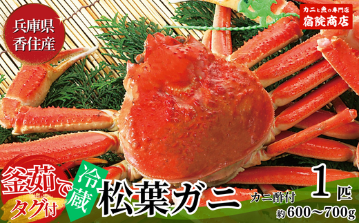 【先行予約】【香住産 釜茹で松葉ガニ 1匹（約600～700g）冷蔵】香住で水揚げされた新鮮な松葉ガニを熟練の職人が茹で上げます。水揚げ当日に茹でたてを発送します。カニの本場 香住 新鮮 国産 鍋 かにすき 脚 足 爪 身 肩 大人気 ふるさと納税 返礼品 おすすめ かに カニ 兵庫県 香美町 香住 柴山 ズワイガニ 宿院商店 68000円 33-24