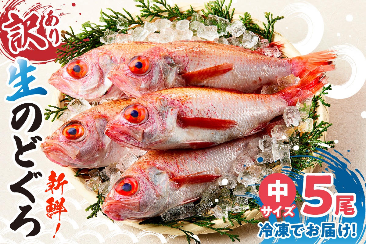 【兵庫県香住産 処理済 のどぐろ中5匹 1匹約150g前後 計約700～800g 冷凍】令和8年3月下旬以降、順次発送予定  日本海 鮮度抜群 生冷凍 急速冷凍 白身のトロ ノドグロ 国産 産地直送 兵庫県 香美町 香住 柴山 山陰 大人気 おすすめ 宿院商店 33-30