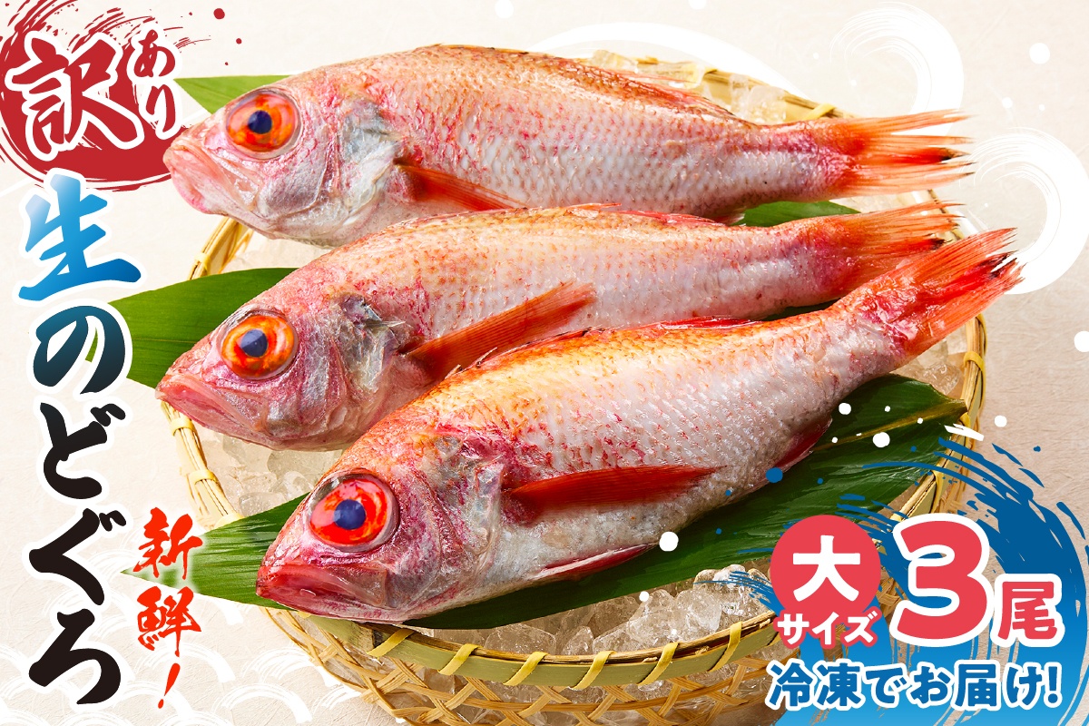 【兵庫県香住産 処理済 のどぐろ大3匹 1匹約250g前後 計約700～800g 冷凍】令和8年3月下旬以降、順次発送予定 日本海 生冷凍 鮮度抜群 急速冷凍 白身のトロ 産地直送 兵庫県 香美町 香住 柴山 山陰 大人気 おすすめ 宿院商店 33-31