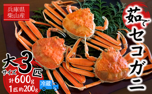 【先行予約】【柴山産 茹でセコガニ 大3匹 1匹約200g 冷蔵】11月中旬以降配送予定 濃厚なかにミソとやみつきになる内子、外子が絶品です 数量限定 産地直送 鮮度抜群 絶妙の塩加減での茹で上げ 大人気 ふるさと納税 おすすめ 返礼品 兵庫県 香美町 香住 柴山 カニ 松葉ガニ せいこがに メスガニ 親ガニ 柴山産 茹でセコガニ ヤマヨシ 28000円 37-02