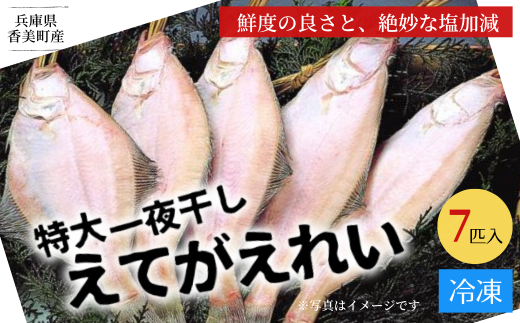 【兵庫県香住産 特大 一夜干し えてがれい 7匹入り】産地直送 冷凍 「味にこだわり」 他社とは一味違う鮮度の良さ、ツヤと色合い、絶妙な塩加減。焼いた時にふっくらするよう干し加減にもこだわっております。肉厚で脂のりが良いのが特長で、大きく食べ応えある商品です。兵庫県 香美町 香住 山陰 伝統の香住の干物 魚や HARATOKU 12000円 56-07