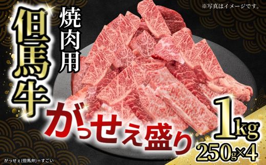 【但馬牛がっせぇ盛り 焼肉用計1kg（250g×4）冷凍】発送目安：入金確認後1ヶ月程度 配送日の指定はできません。 大人気 人気ふるさと納税 返礼品 おすすめ ランキング しゃぶ 牛肉 ステーキ しゃぶしゃぶ すき焼き 焼肉 但馬 神戸 兵庫県 但馬牛 27000円 72-24