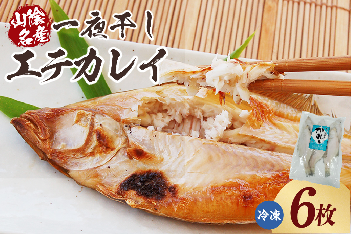 山陰 名産 エテカレイ 一夜干し 6枚 冷凍 かれい 香美町 74-11