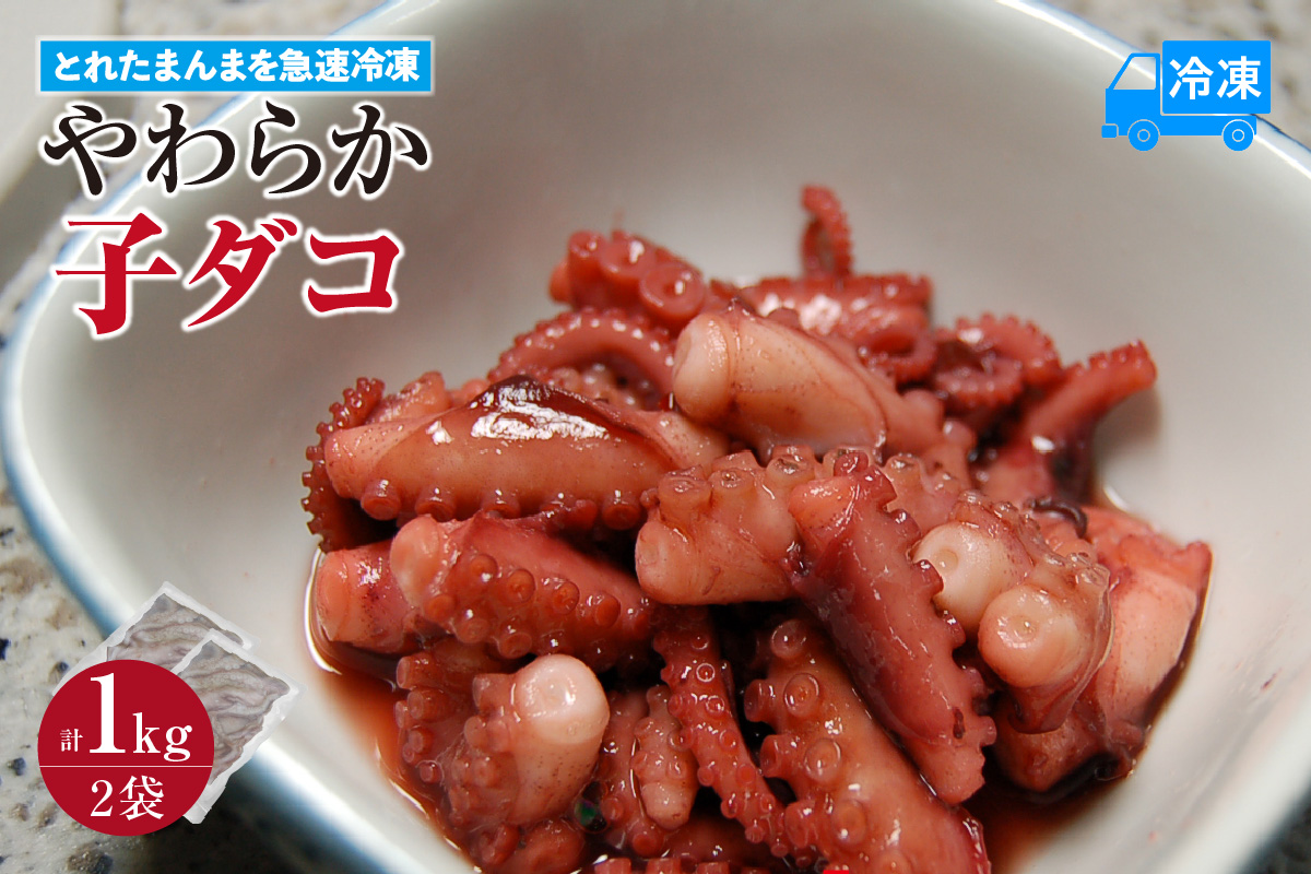 【とれたまんまを急速冷凍 やわらか子ダコ 500g×2袋 1kg 冷凍】ご入金確認後、順次発送予定 国産 小だこ 生 真空パック 産地直送 鮮度抜群 タコ たこ 海鮮 ふるさと納税 おすすめ 返礼品 兵庫県 香美町 香住 山米鮮魚 11000円 74-28