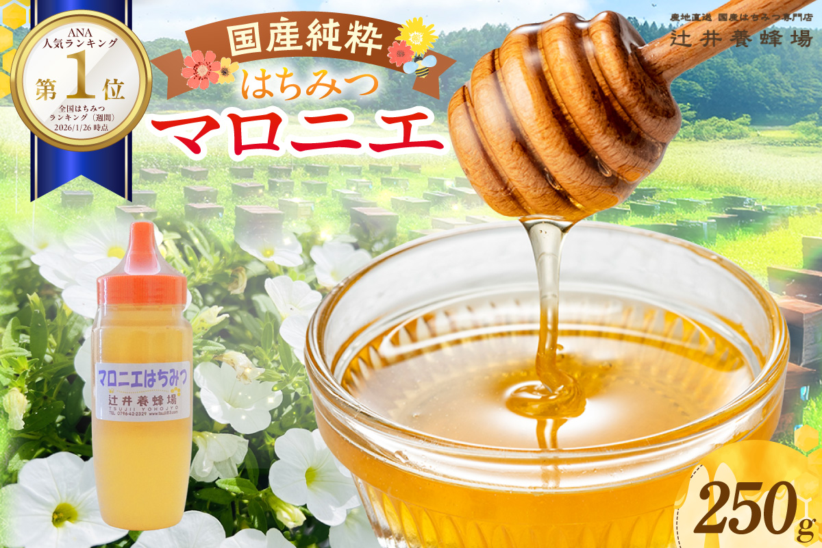 ランキング 週間 1位 国産 純粋 マロニエ はちみつ 250g ポリ容器 ハチミツ 香美町 81-01