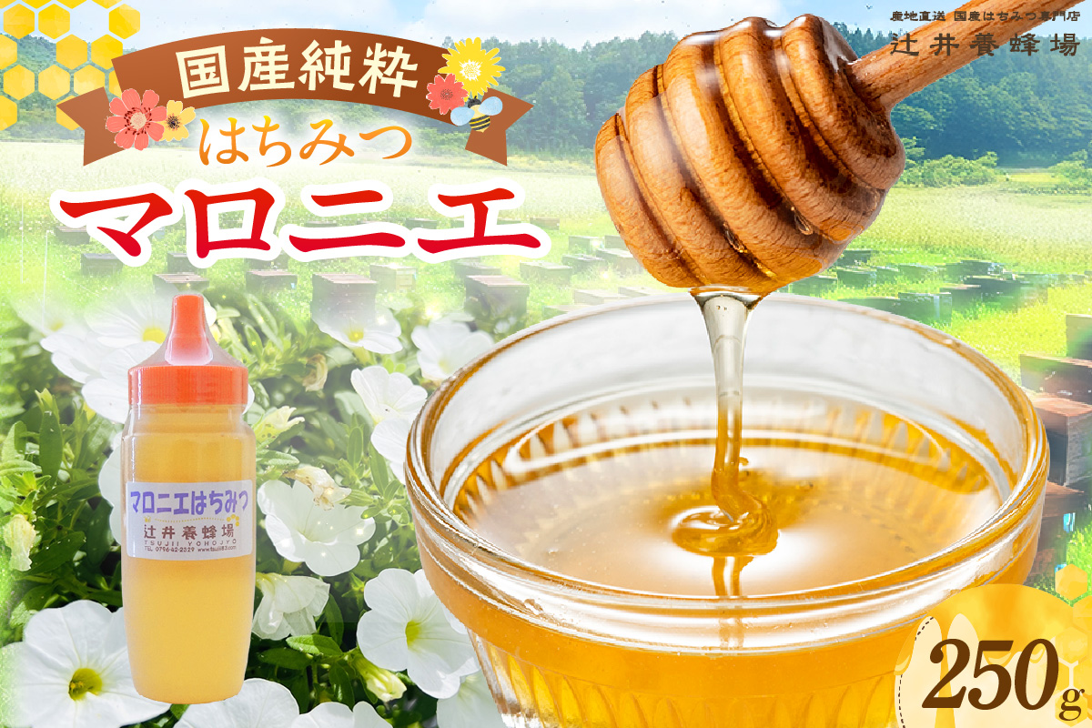【国産純粋 マロニエはちみつ 250g ポリ容器】国産 純粋 マロニエ はちみつ ハチミツ 蜂蜜 栃の木 やさしい 香り まろやか パン ヨーグルト おすすめ 兵庫県 香美町 辻井養蜂場 81-01