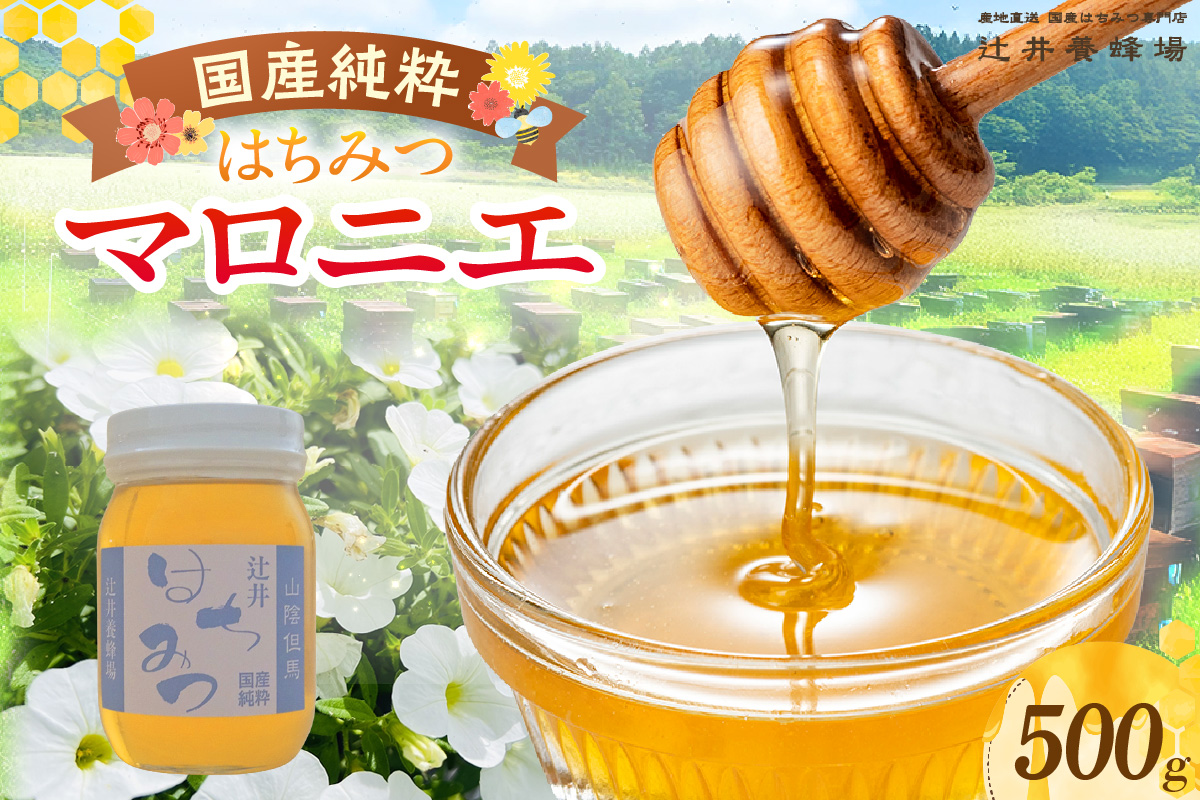 【国産純粋 マロニエはちみつ 500g 瓶】国産 純粋 マロニエ はちみつ ハチミツ 蜂蜜 栃の木 やさしい 香り まろやか パン ヨーグルト おすすめ 兵庫県 香美町 辻井養蜂場 81-04