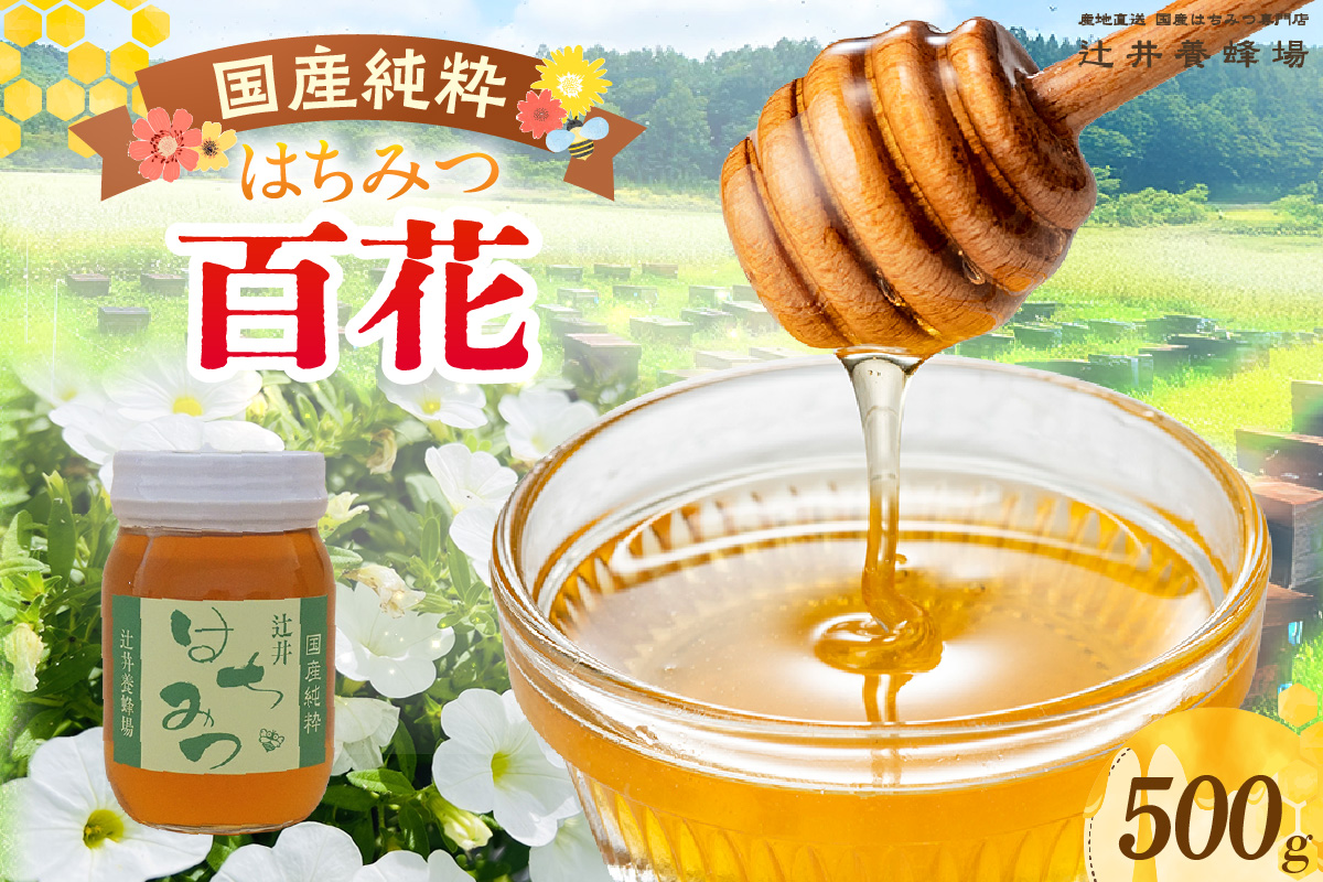 【国産純粋 百花はちみつ 500g 瓶】国産 純粋 百花 はちみつ ハチミツ 蜂蜜 紅茶 パン ヨーグルト おすすめ 兵庫県 香美町 辻井養蜂場 81-05