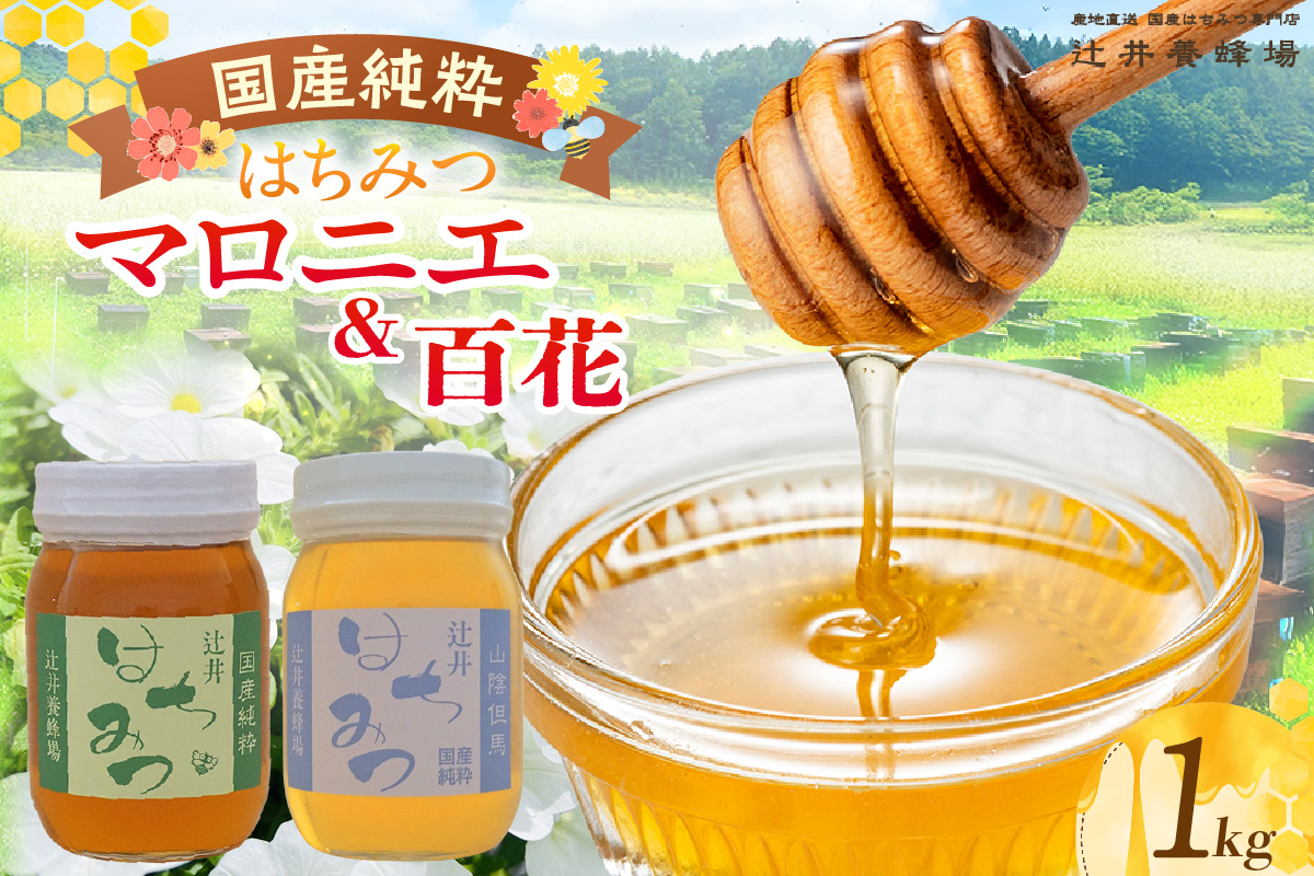 【国産純粋 マロニエはちみつ 百花はちみつ 各500g 計1kg 瓶】国産 純粋 マロニエ 百花 はちみつ ハチミツ 蜂蜜 栃の木 紅茶 パン ヨーグルト おすすめ 兵庫県 香美町 辻井養蜂場 81-06