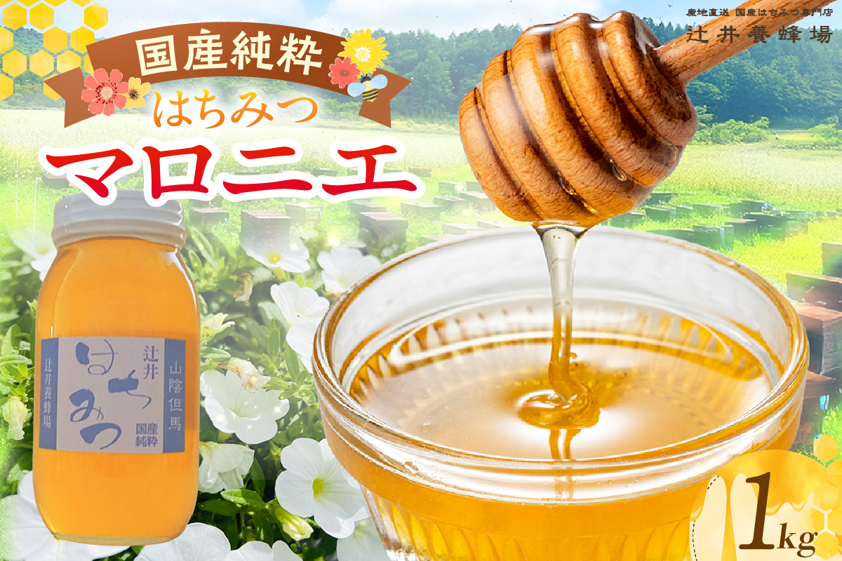 【国産純粋 マロニエはちみつ 1kg 瓶】国産 純粋 マロニエ はちみつ ハチミツ 蜂蜜 栃の木 やさしい 香り まろやか パン ヨーグルト おすすめ 兵庫県 香美町 辻井養蜂場 81-07