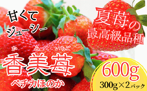 [先行予約]18-06 夏イチゴの最高級品種 [ペチカほのか] 300g(12〜24粒)× 2パック