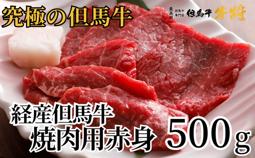 経産但馬牛赤身焼肉用500g ※発送目安:入金確認後1ヶ月程度※申し訳ありませんが配送日の指定ができない商品です。02-15