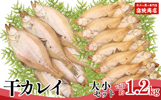 [干物 干カレイセット 合計1.2kg以上(大5〜8枚 約600g、小11〜15枚 約600g)香住産 冷凍] ふるさと納税 送料無料 南蛮漬 唐揚げ お酒のお供 日本海 香住港 柴山港 兵庫県 香美町 香住 柴山 宿院商店 12000円 33-13