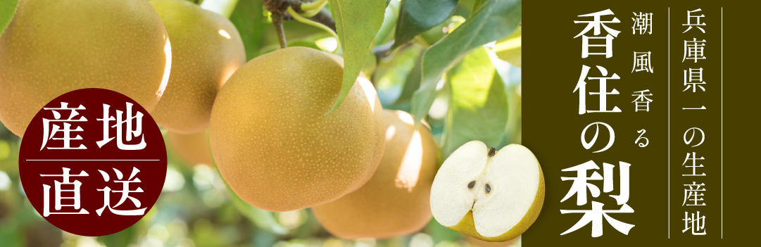 旬の時期がやってきます！香美町の梨！🍏