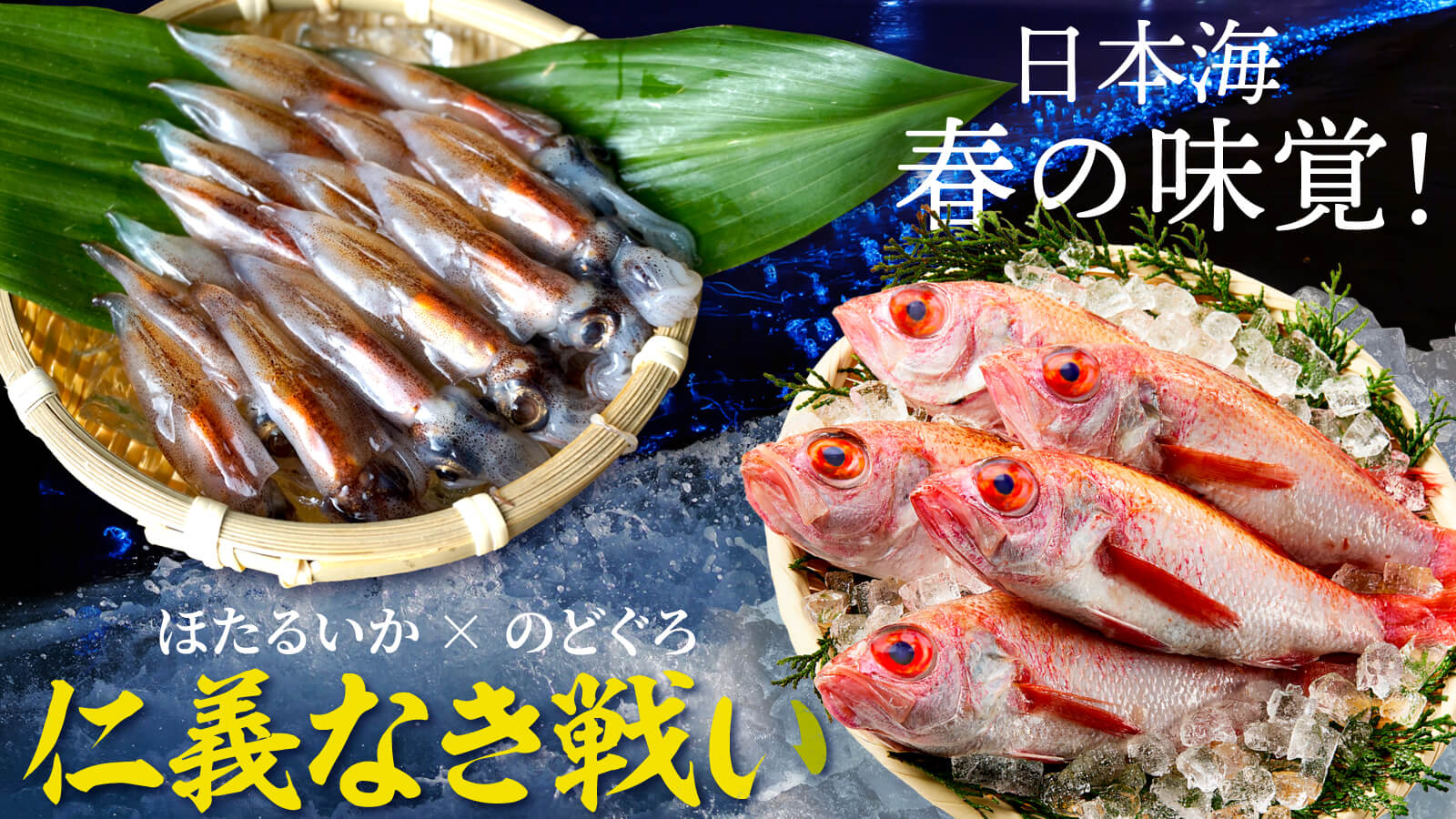 🦑春の味わい。ほたるいかとのどぐろの仁義なき戦い🐟