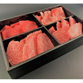 但馬牛　焼肉セット【500g】【配送不可地域：離島】